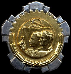 Order of Labour with Gold Wreath, Obverse