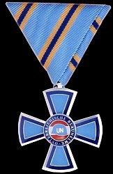 Knight Cross in Silver