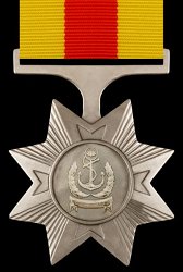 Navy Efficiency Medal, Reverse Navy Efficiency Medal, Reverse