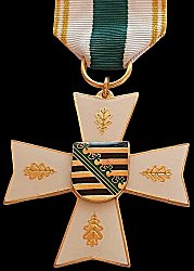 Rescue Service Decoration on Ribbon Gold (50 Years), Obverse