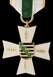 Rescue Service Decoration on Ribbon Gold, Obverse