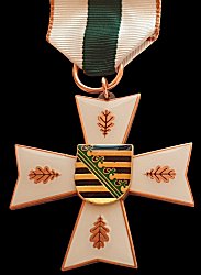Rescue Service Decoration on Ribbon Bronze, Obverse