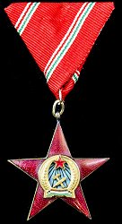 Medal of Merit in Gold, Obverse
