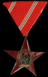 Medal of Merit in Bronze, Obverse