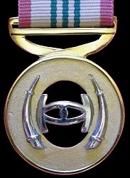 Intelligence Services Distinguished Service Medal Gold, Obverse