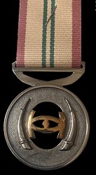 Intelligence Services Distinguished Service Medal Silver, Obverse